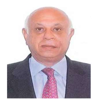 أديب محمد أبو النصر البساتنة